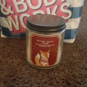 Bath & Body Works spiced apple toddy single Wick